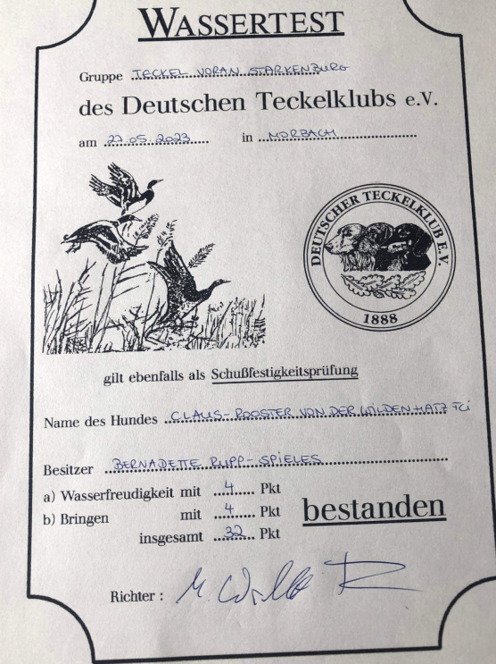 Dachshund duck retrieving certificat
